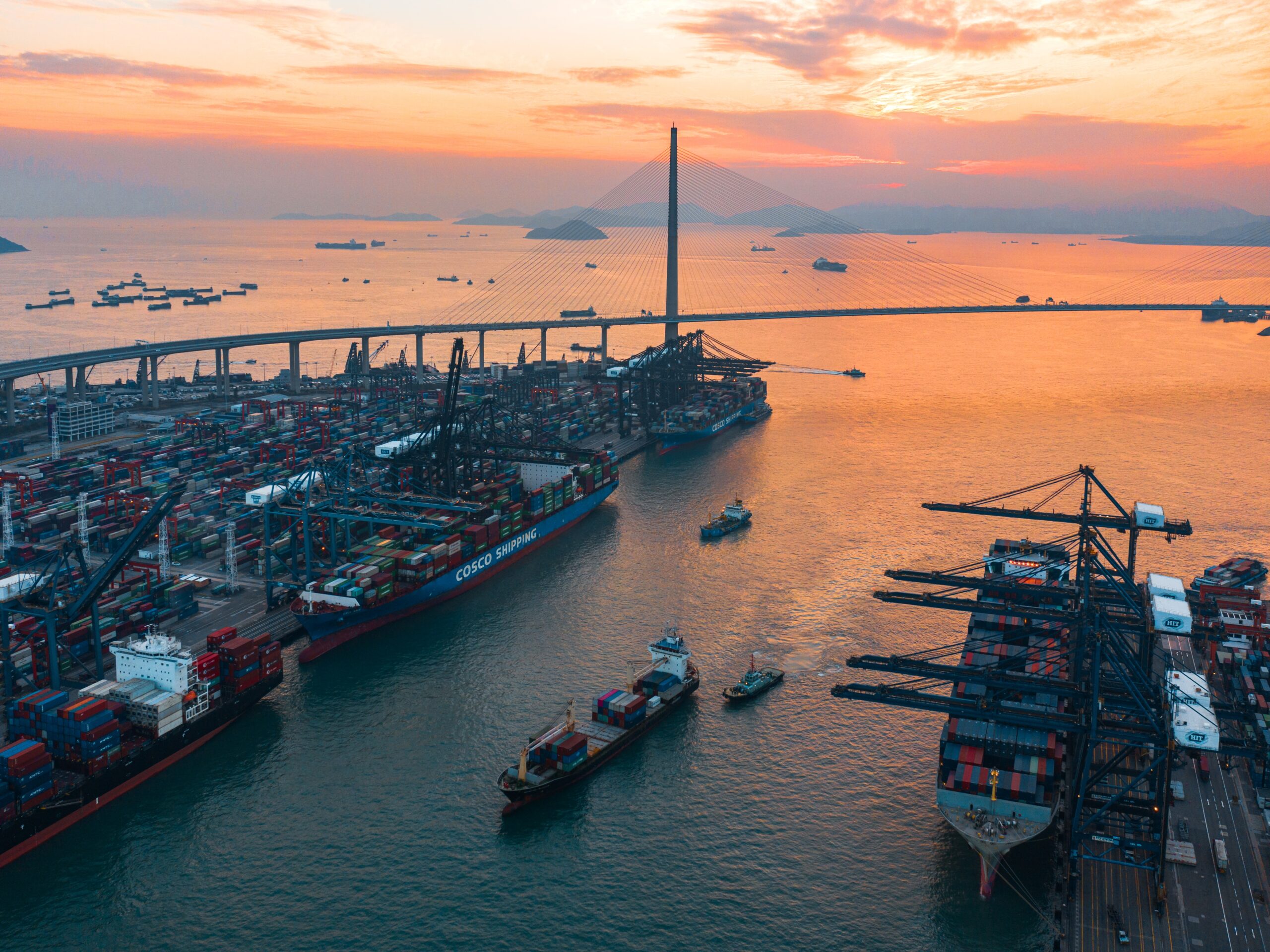 Hong Kong and the international trade network