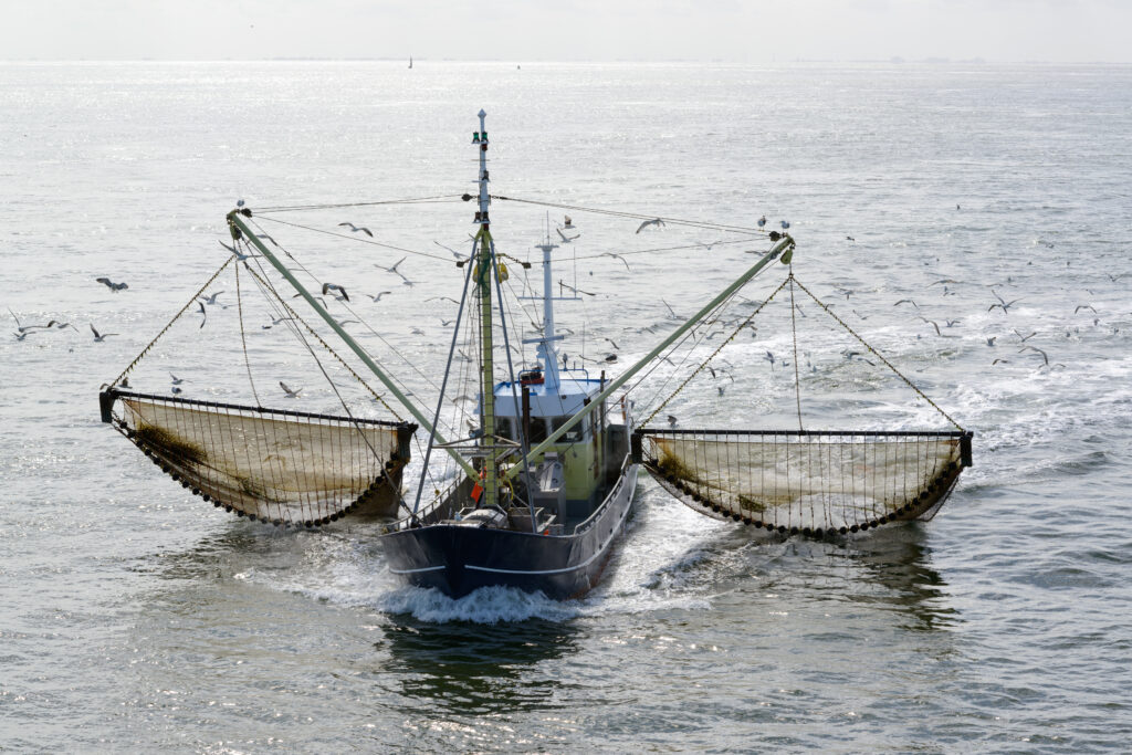 Fishing Boat