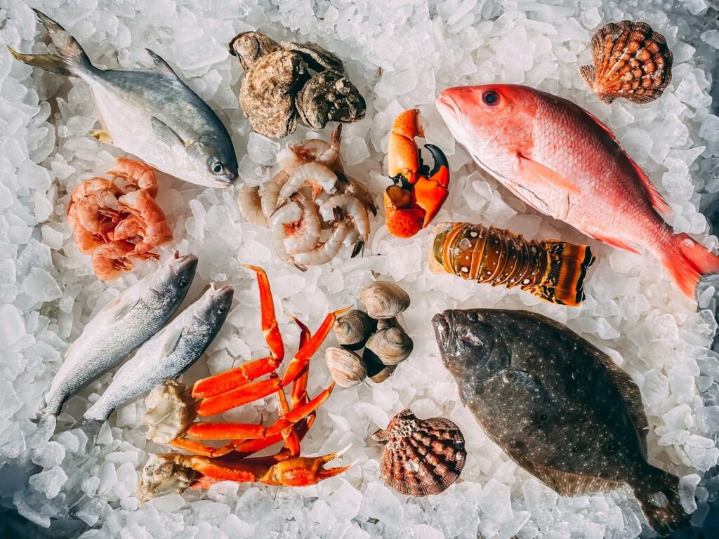 Premium seafood selection arranged on ice